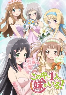NAKAIMO – My Little Sister Is Among Them! (Dub)