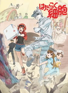 Cells at Work! (Dub)